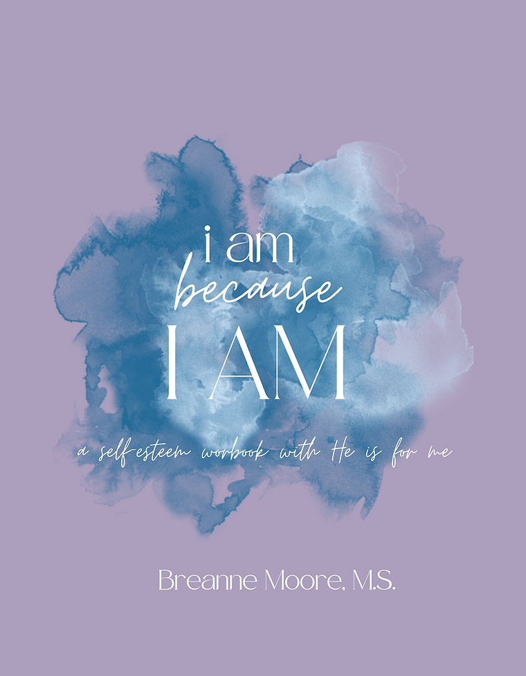 i am because I AM workbook picture