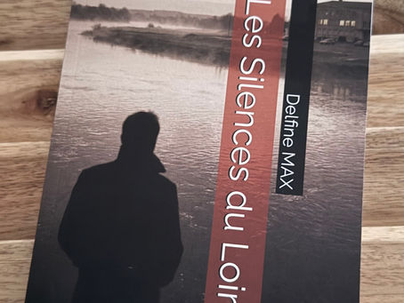 Photographie de la couverture du livre « Les Silences du Loiret », thriller interactif de Delfine Max.