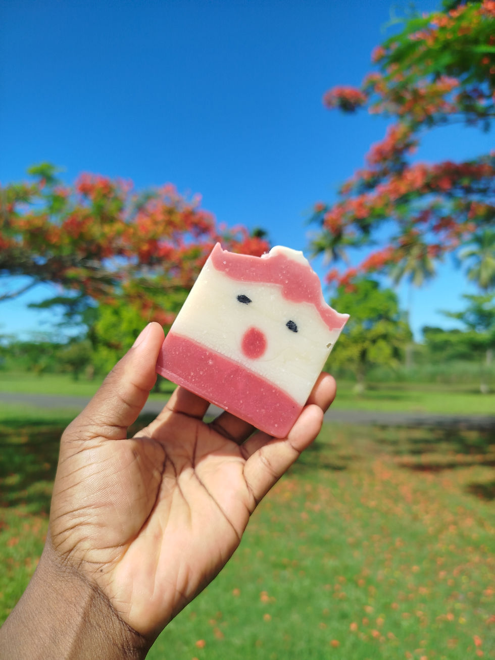 Thumbnail: Seasonal Serenity – Festive Soap Collection