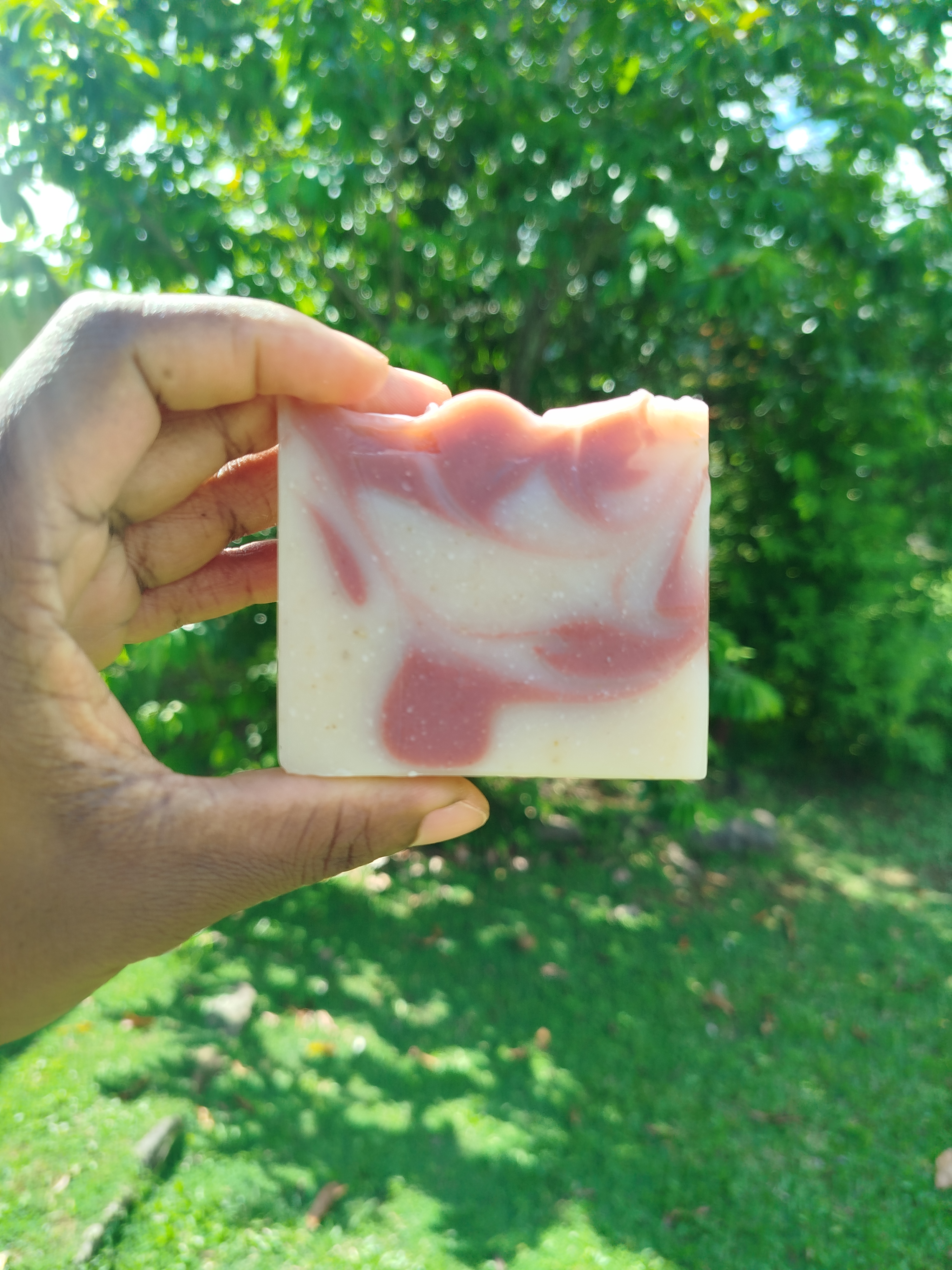 Aluminum Beverage Can   