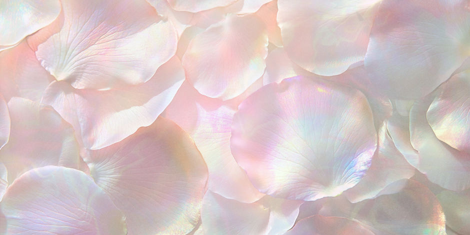 Copy of IR-Backrounds (5).jpg