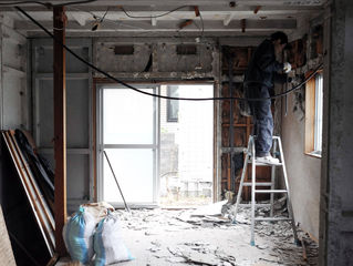 猫専用アパートとして生まれ変わります！