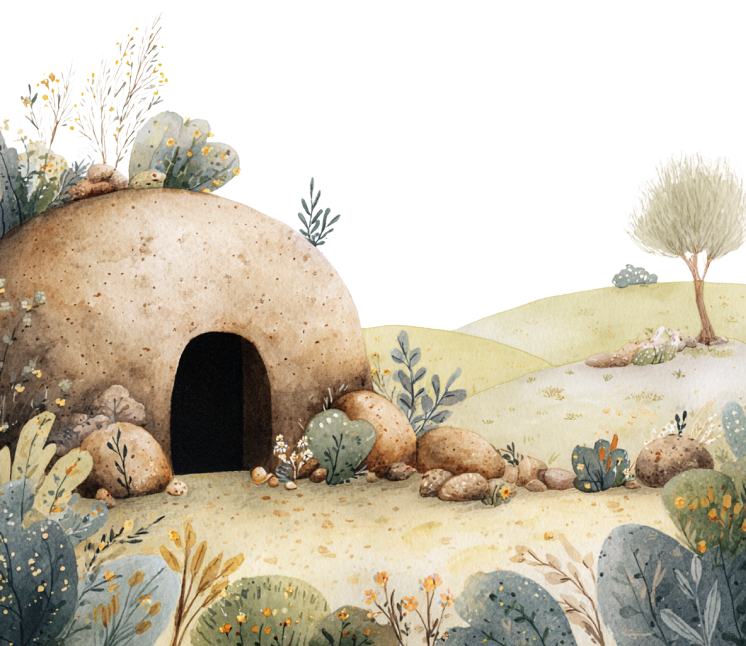 Design sem nome (14).png