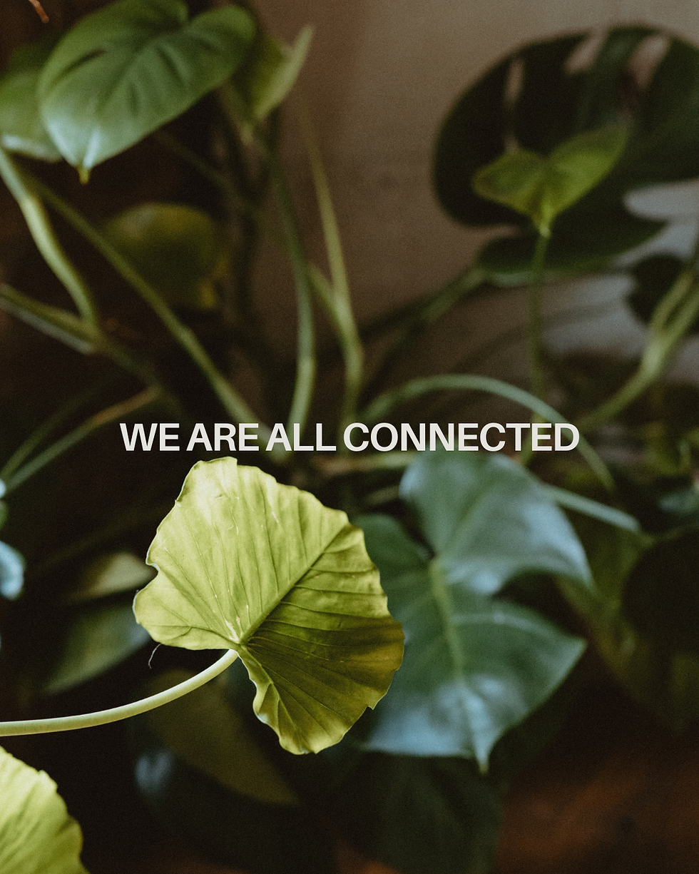 APRIL: INTERCONNECTEDNESS
