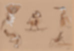 dessin nature