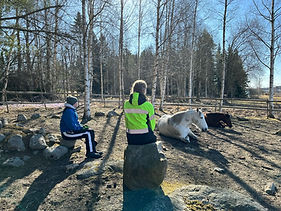 IMG-20250416-WA0017.jpg