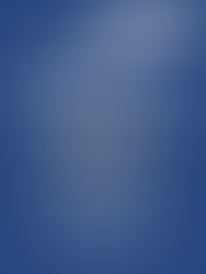 Réunion informative virtuelle 1er octobre 2020