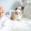 Thumbnail: ROMINA POMERANIA - FEMALE