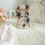 Thumbnail: JACINTA CHIHUAHUA - FEMALE