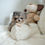 Thumbnail: DIANA POMERANIAN - FEMALE