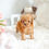 Thumbnail: RORO POODLE - MALE