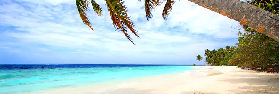 tortola.webp