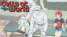 cells-at-work-season-2.jpeg