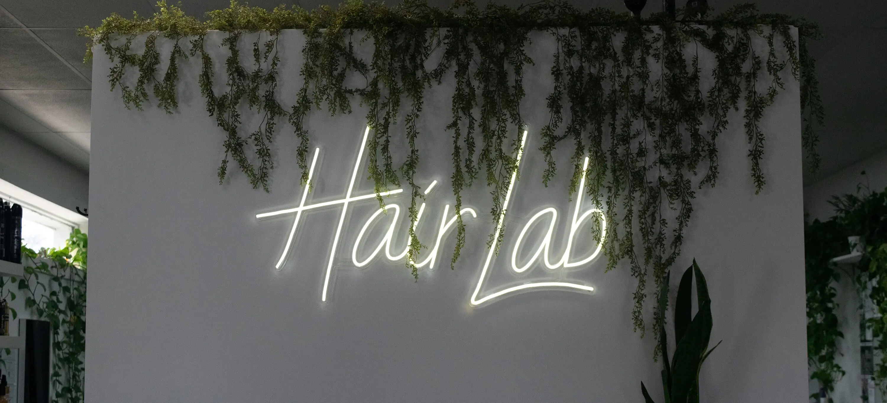 HairLab_Cover.webp