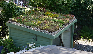 not-a-shed-Green-Roofs-Naturally.jpg