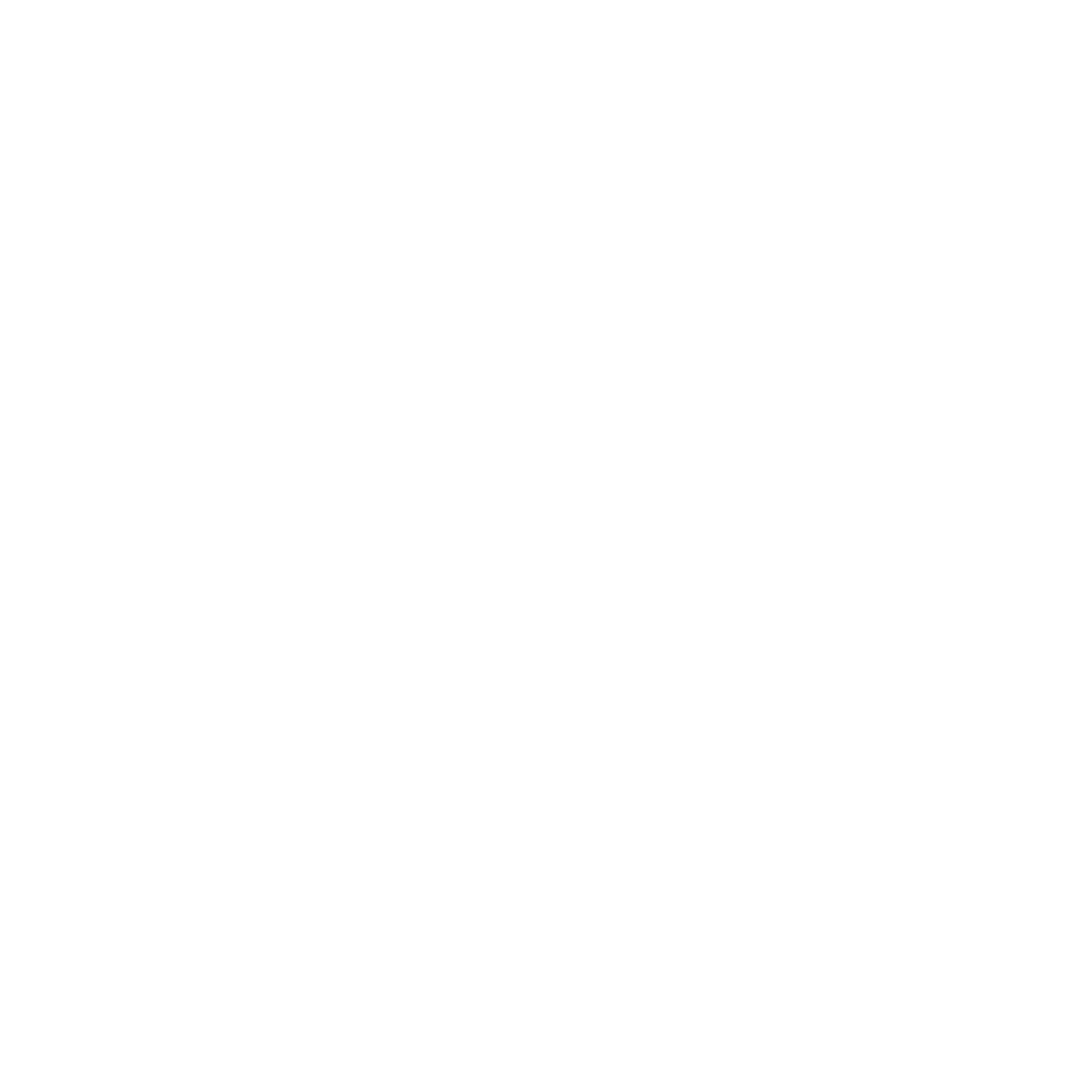 White Logo.png