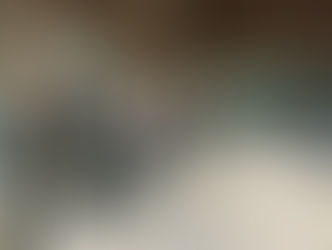 第二回防災まちづくり研修会