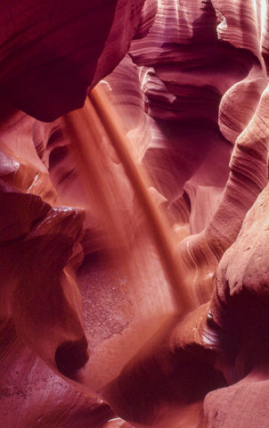 20220616-Feb 8 2020073.jpg