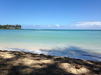 IMG_3580.jpeg