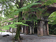 IMG_4375.jpeg