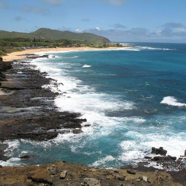 Hawaiian Shoreline