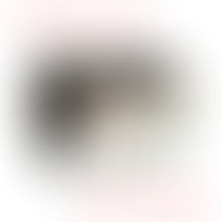 HEIDELBERG AMETEK-F2.179.2111.FEEDER