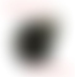 HEIDELBERG EBM-G1G170