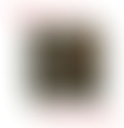 HEIDELBERG MOT-81.186.5315