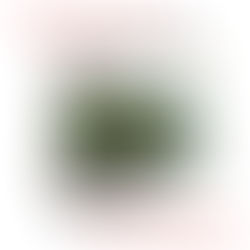 HEIDELBERG LTK500-91.1448081