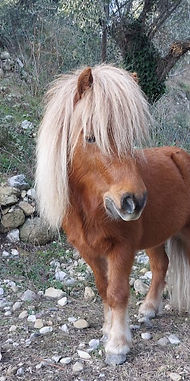 20250126_154831_edited.jpg