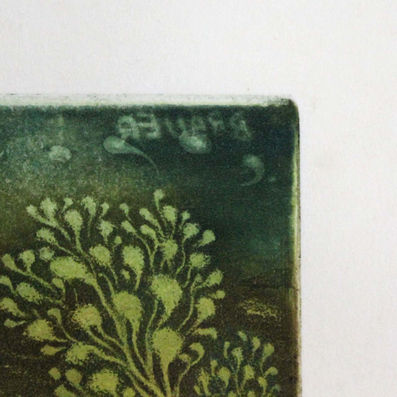 Signatur im Druck "BRAUER", (c) Galerie Böck