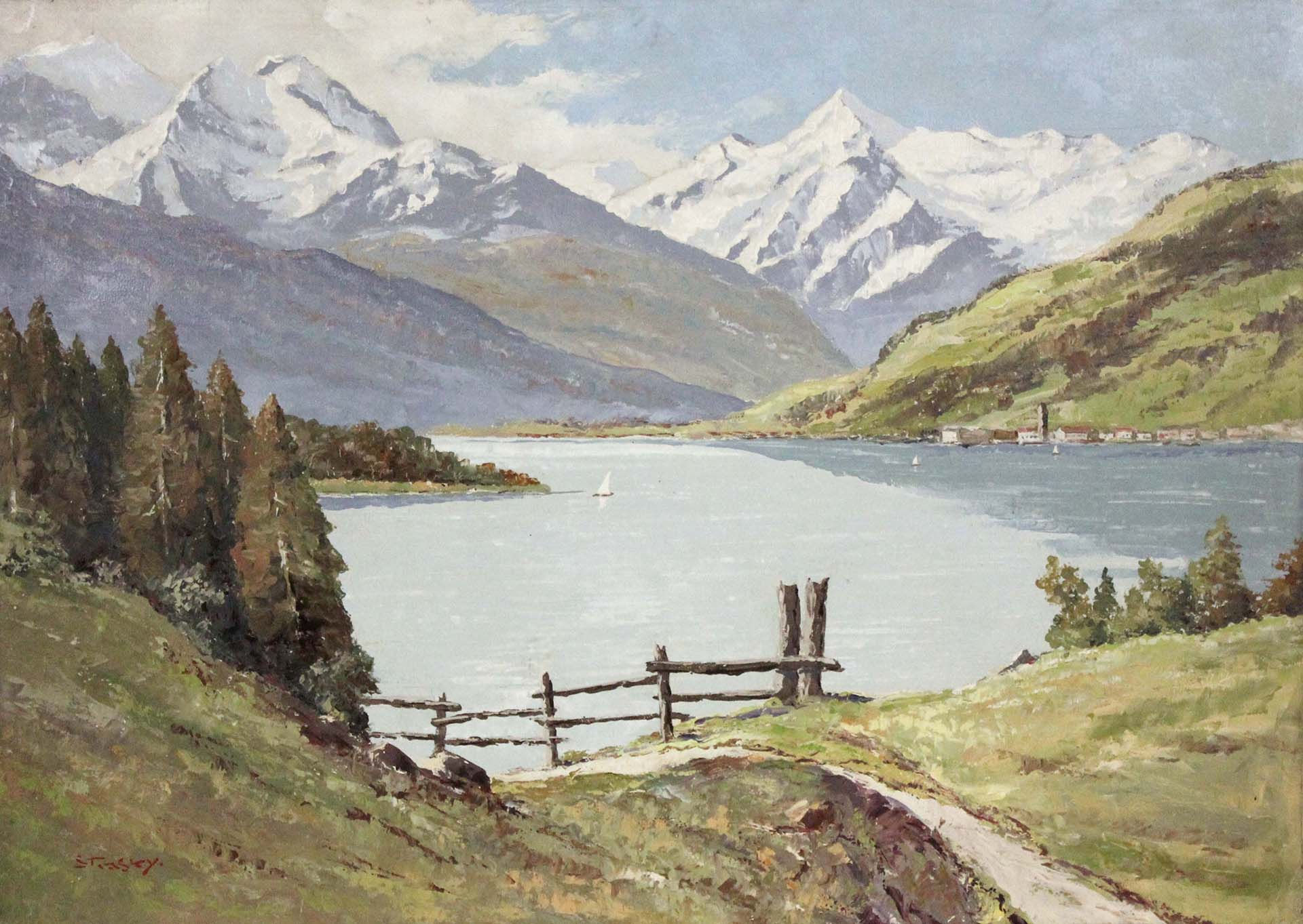 Großer See, im Vordergrund ein Zaun. Der See ist umringt von Bergen.