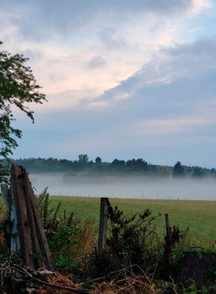 DEN STILLE SAGTE SUSEN