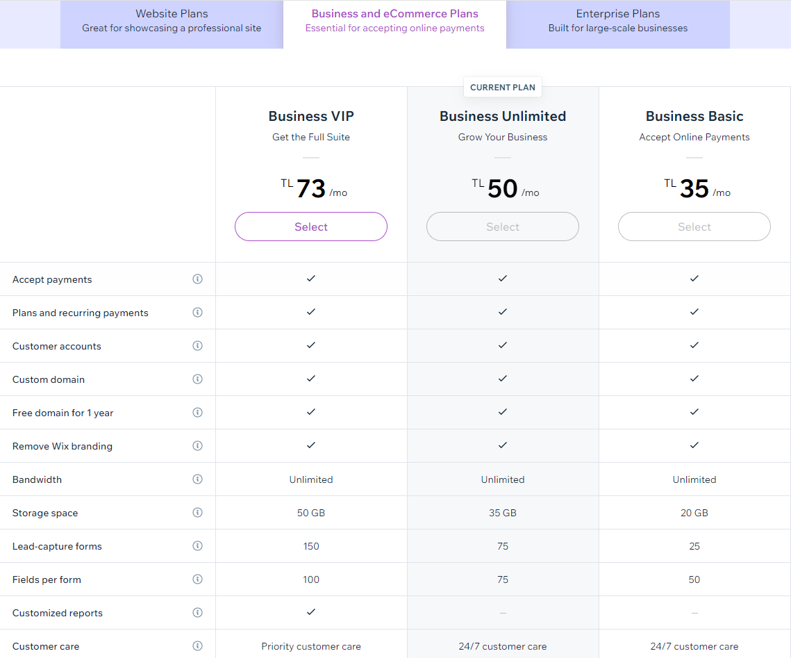 Wix pricing, cost and fees