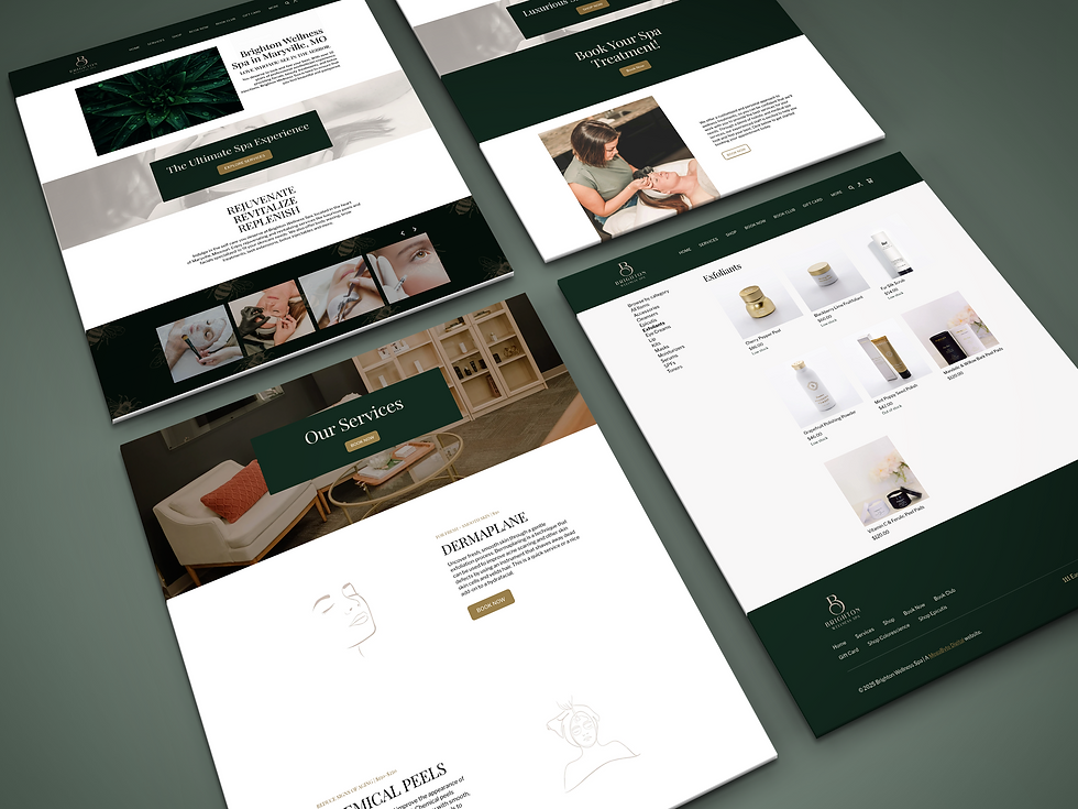 brighton Perspective Website PSD Mock-Up.png