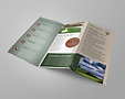 brochure 2 mockup.png