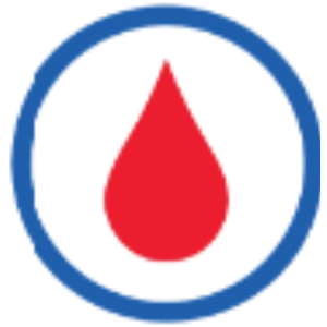 Untitled Project - Artboard 3.png