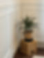 IMG_4841.jpeg