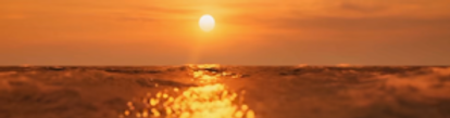 IMG_8901.PNG