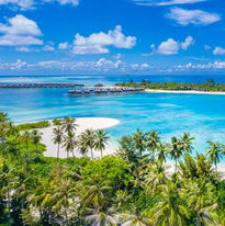 palme_vista_aerea_mare_turchese_trasparente_Sun_Siyam_Olhuveli_Resort_Maldive_BBT_Travel_T
