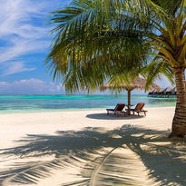 Sdraio_sulla_spiaggia_fine_bianca_palma_Sun_Siyam_Olhuveli_Resort_&_Spa_Maldive_BBT_Travel