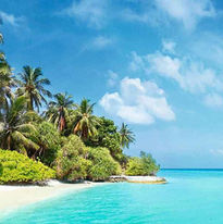 Dhaalu_Atoll_spiaggia_palme_destinazione_Hotel_Riu_Atoll_Maldive_Luxury_BBT_Travel_Tour_Op