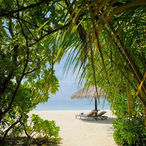 Sdraio_sulla_spiaggia_fine_bianca_tra_le_palm_Sun_Siyam_Olhuveli_Resort_&_Spa_Maldive_BBT_