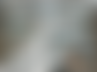 The Science Behind Egg Belt Systems and Their Role in Poultry Efficiency