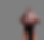 _DSC8884-Edit copy_edited.png