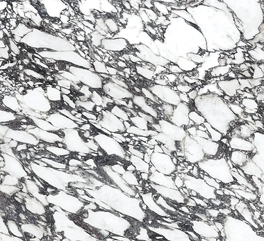 VIOLA BLUE ARCADIA PORCELAIN DOORS.png