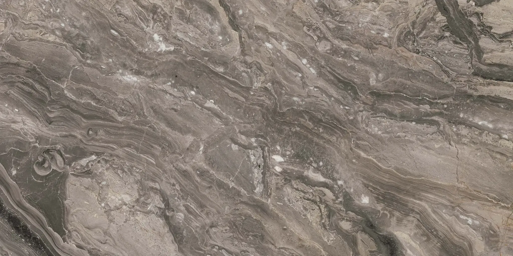 OrobicoGrigio.webp