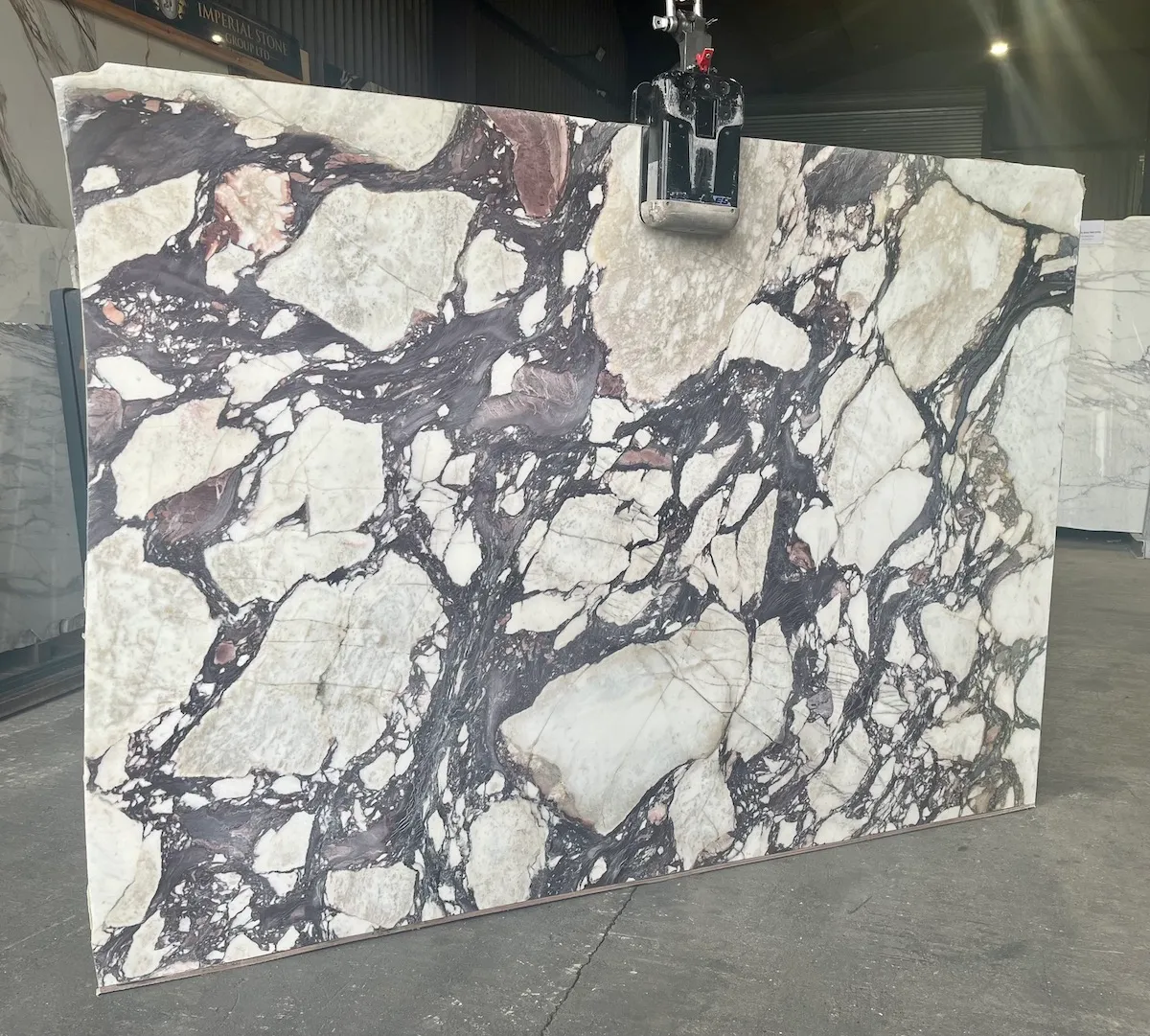 Calacatta-Viola-Marble-SUPPLIERS NORTH EAST.webp