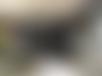 Why 2025 Is Set to Be a Big Year for Arcadia