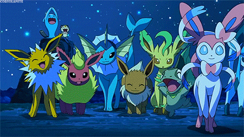 pokemon best wishes GIF.gif